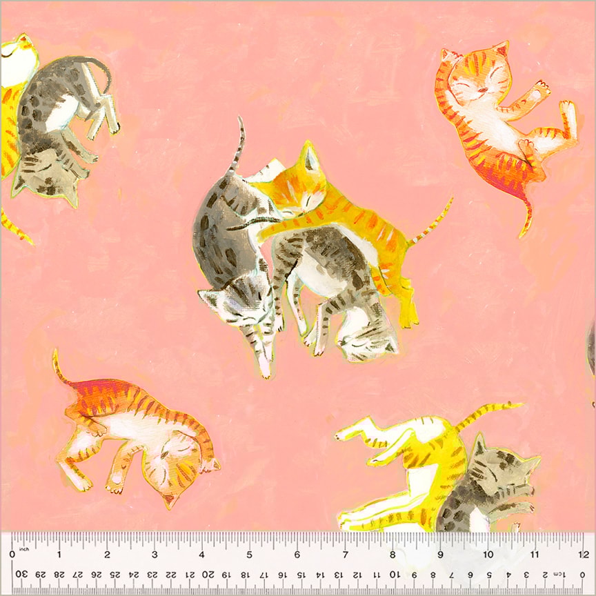 Barn Kittens - Salmon