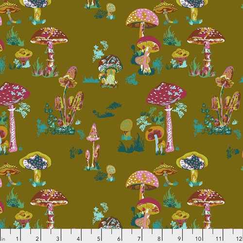 Beautiful Mushrooms in Army