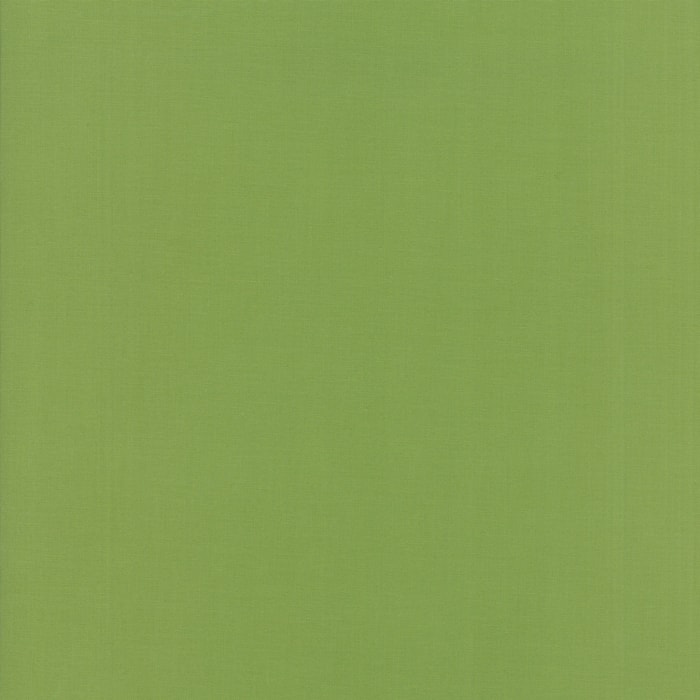 Bella Solids - Fern