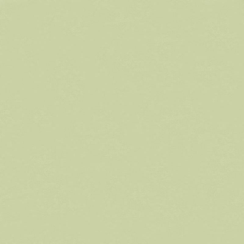 Bella Solids - Pear