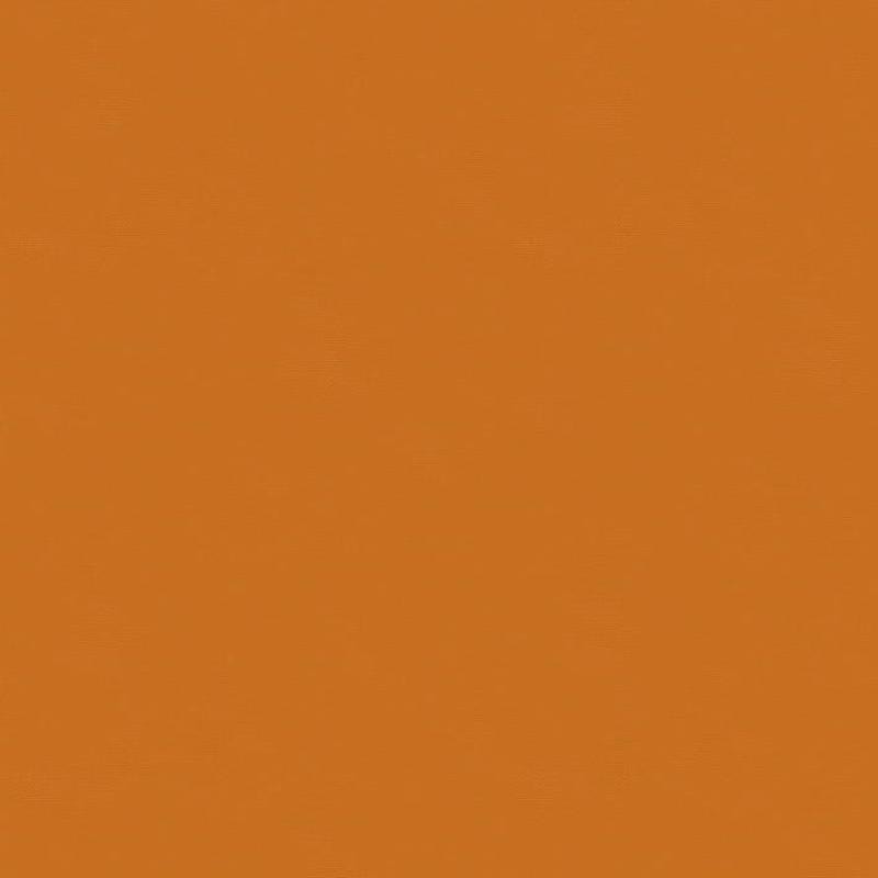 Bella Solids - Pumpkin