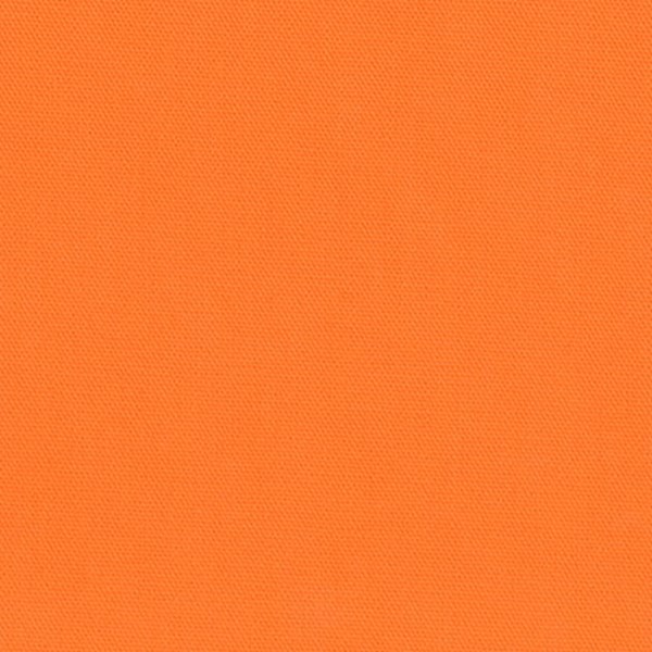 Big Sur CANVAS - Carrot