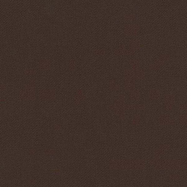 Big Sur CANVAS - Espresso