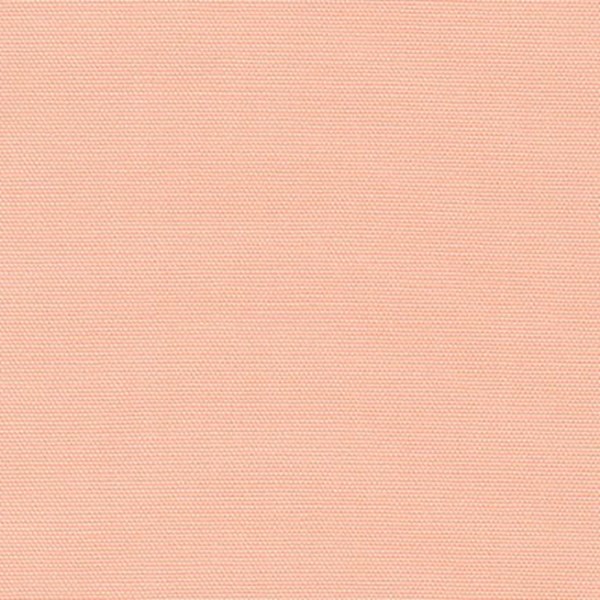 Big Sur CANVAS - Pink