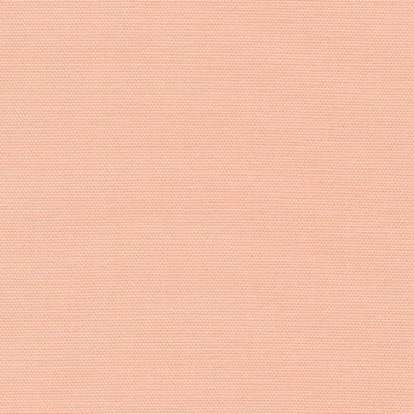 Big Sur CANVAS - Pink