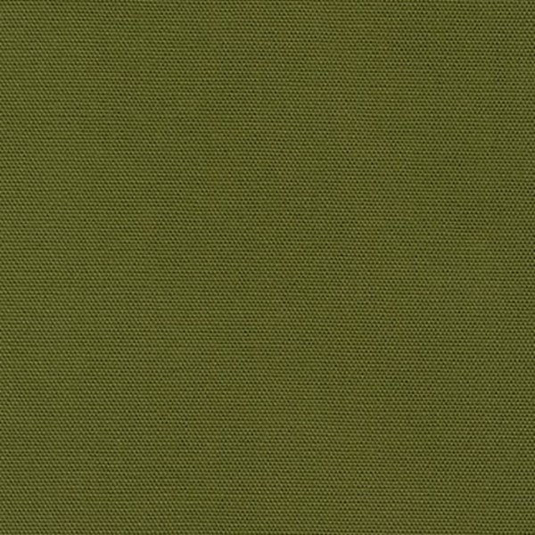 Big Sur CANVAS - Moss Green