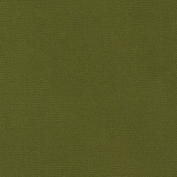 Big Sur CANVAS - Moss Green