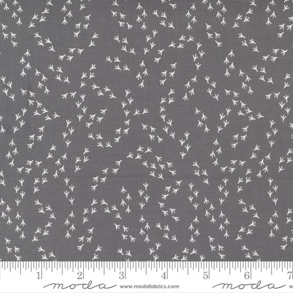 Bird Dance - Pebble