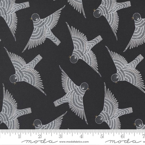 Birds In Flight - Raven