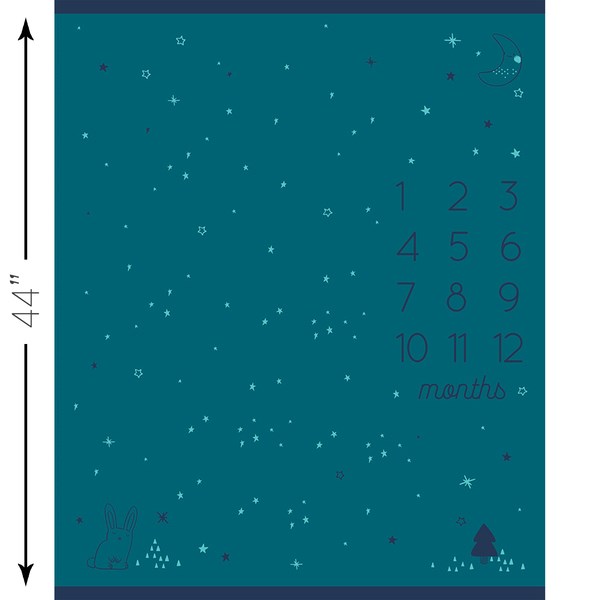 Birthday PANEL Milestone RS2043 | 36" X 45" - Teal