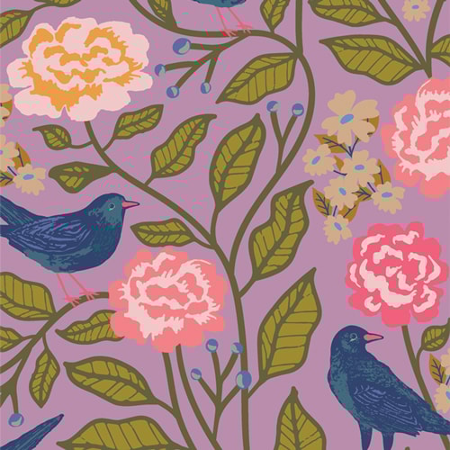 Blackbird - Canopy