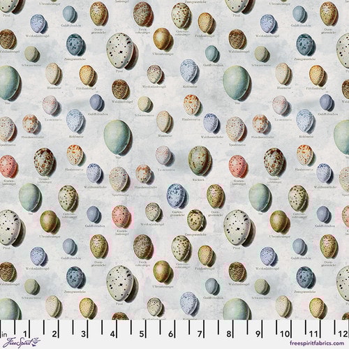 Blue Eggs