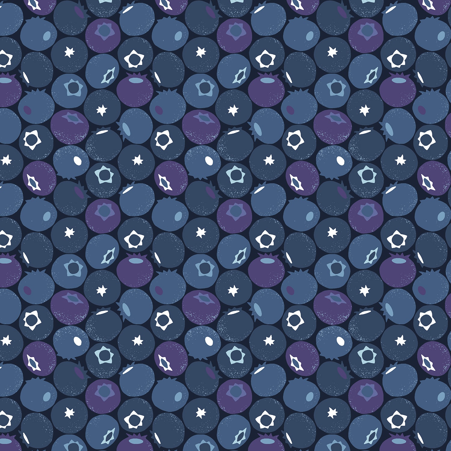 Blueberry - Blue Dusk