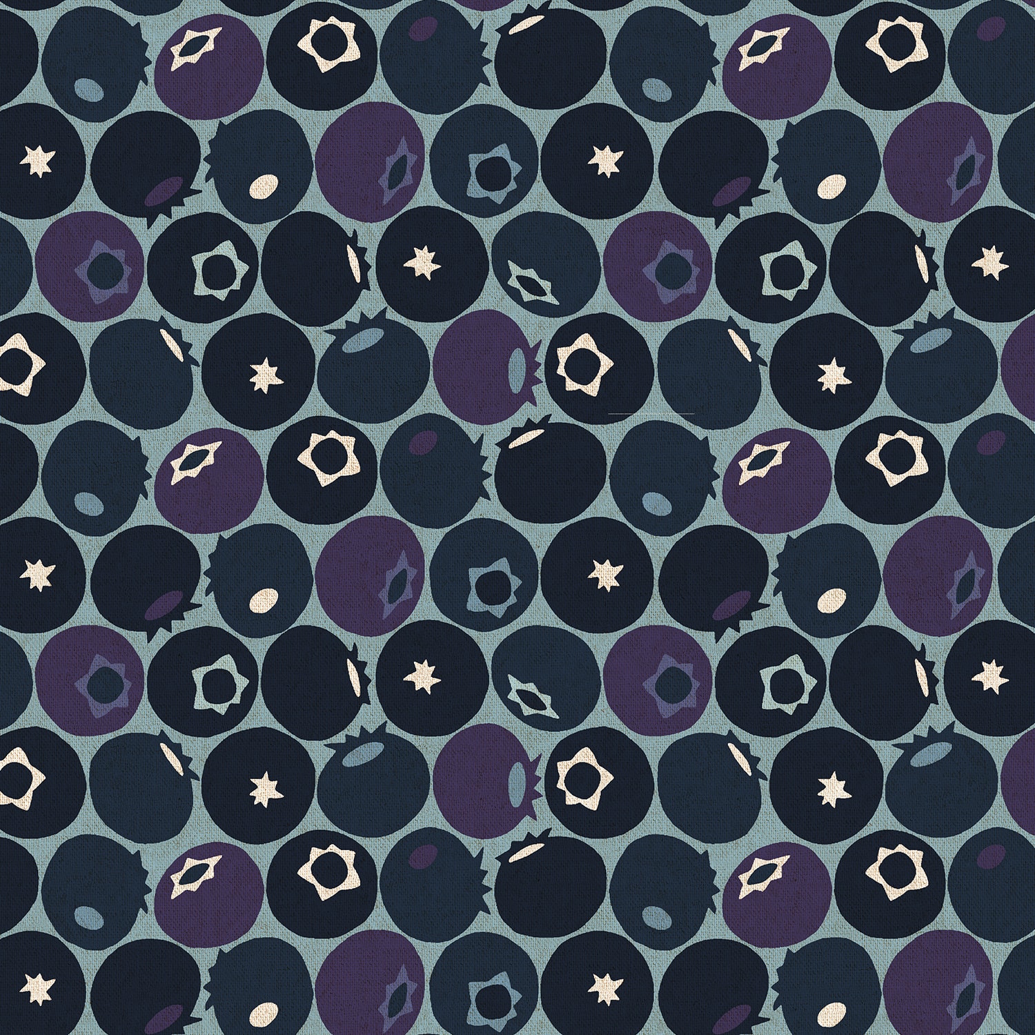 Blueberry - Downpour Unbleached CANVAS
