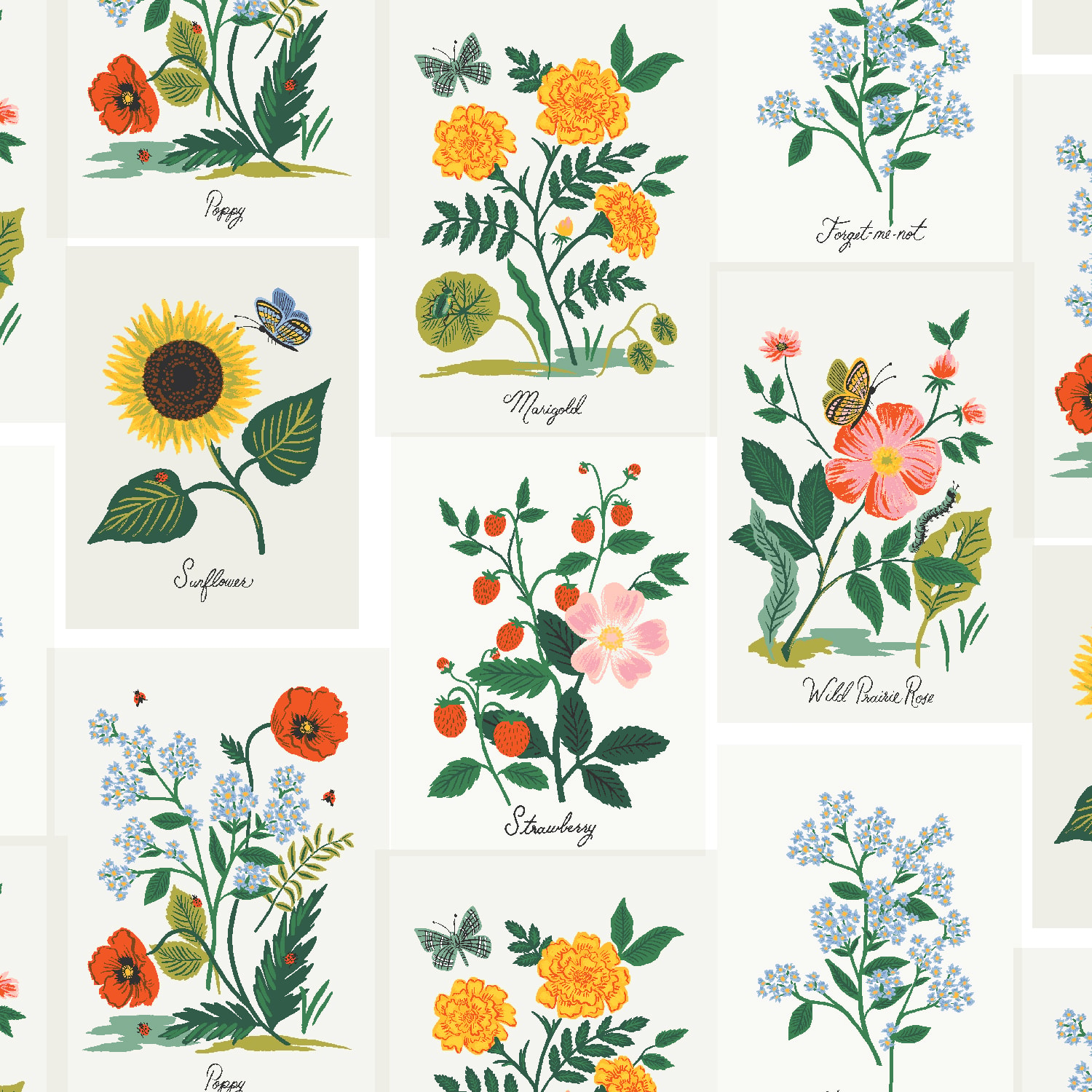 Botanical Prints