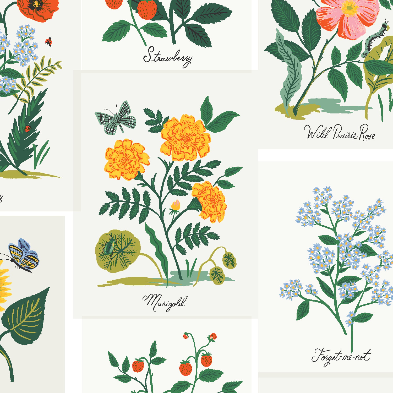 Botanical Prints