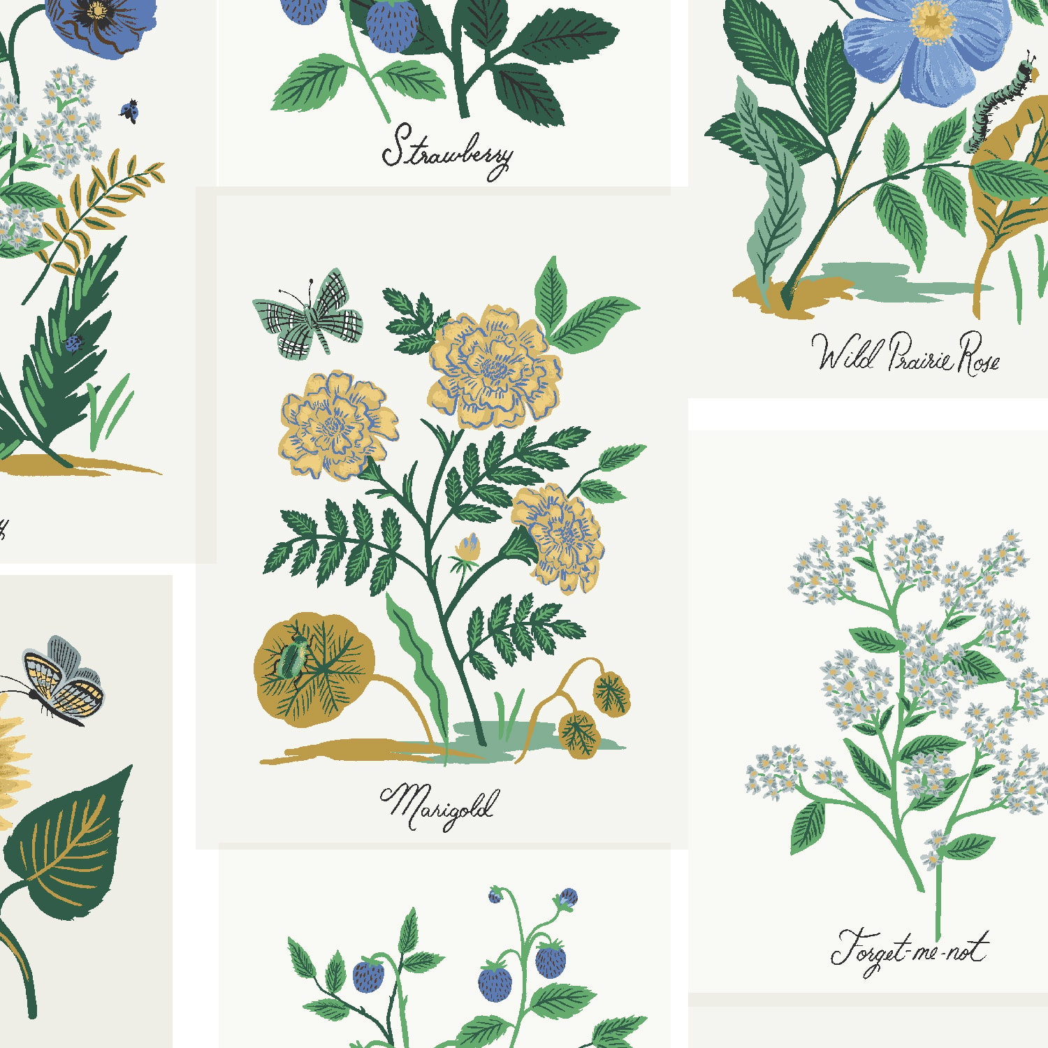 Botanical Prints - Blue Multi CANVAS