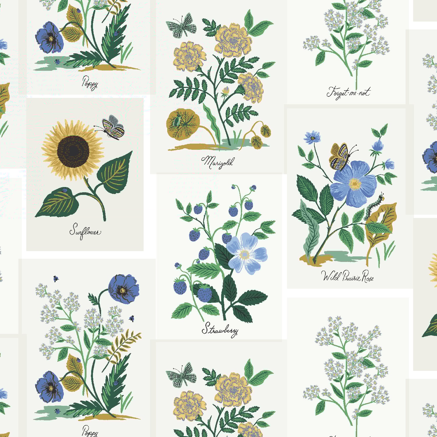 Botanical Prints - Blue Multi