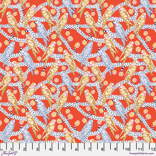 Budgie Melody - Vermilion