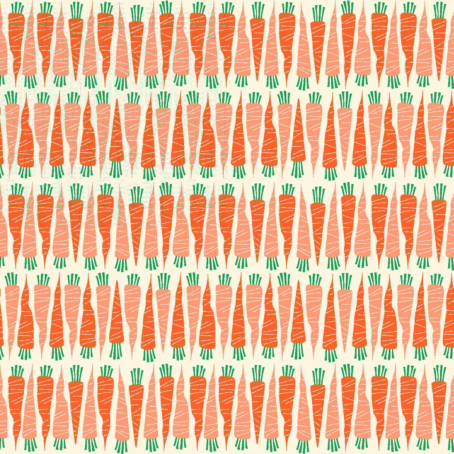 Carrot - Chantenay