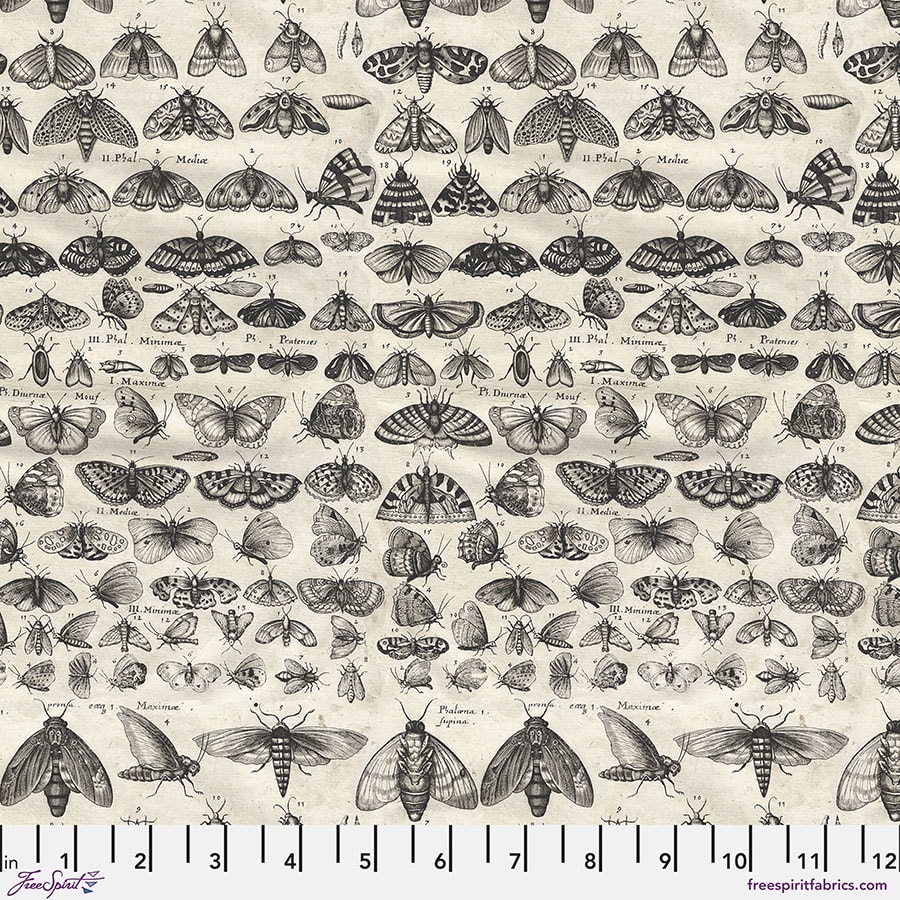 Charcoal Moths