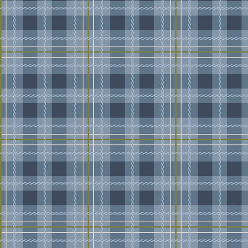Check Plaid - After the Rain