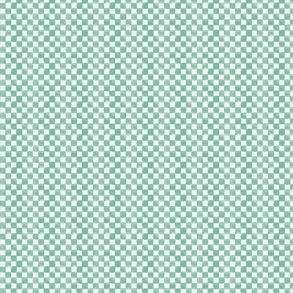 Checks