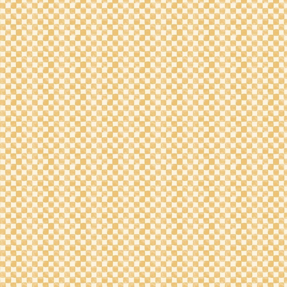 Checks