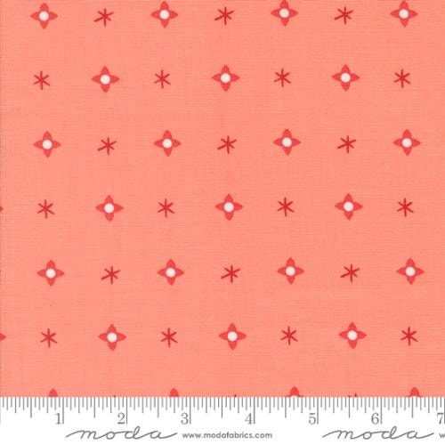 Christmas Star - Carnation