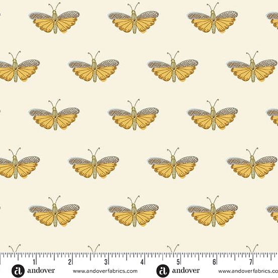 Chrysalis - White