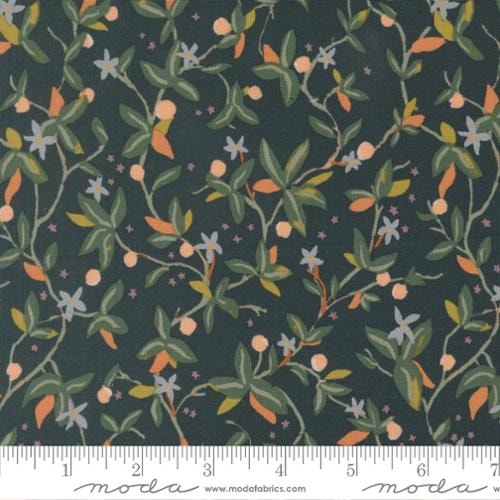 Citron Vines - Midnight