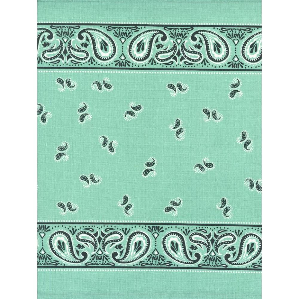 Classic Retro Toweling - Aqua Bandana