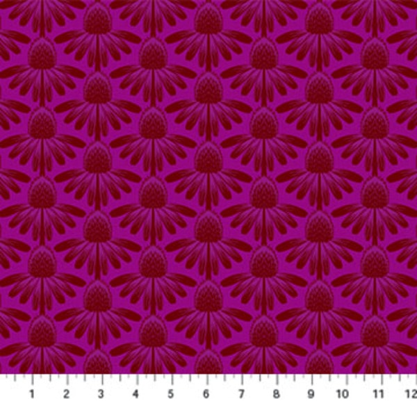 Coneflower - Magenta