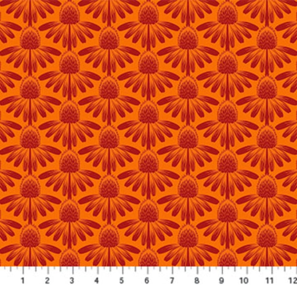 Coneflower - Tangerine