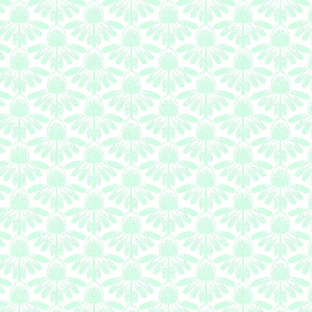 Coneflower - Mint