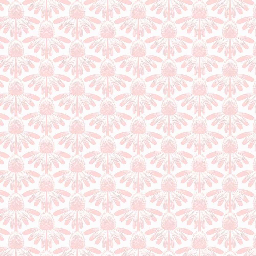 Coneflower - Blush