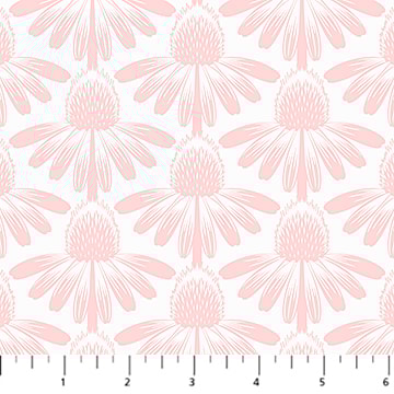 Coneflower