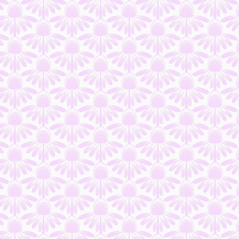 Coneflower - Lilac