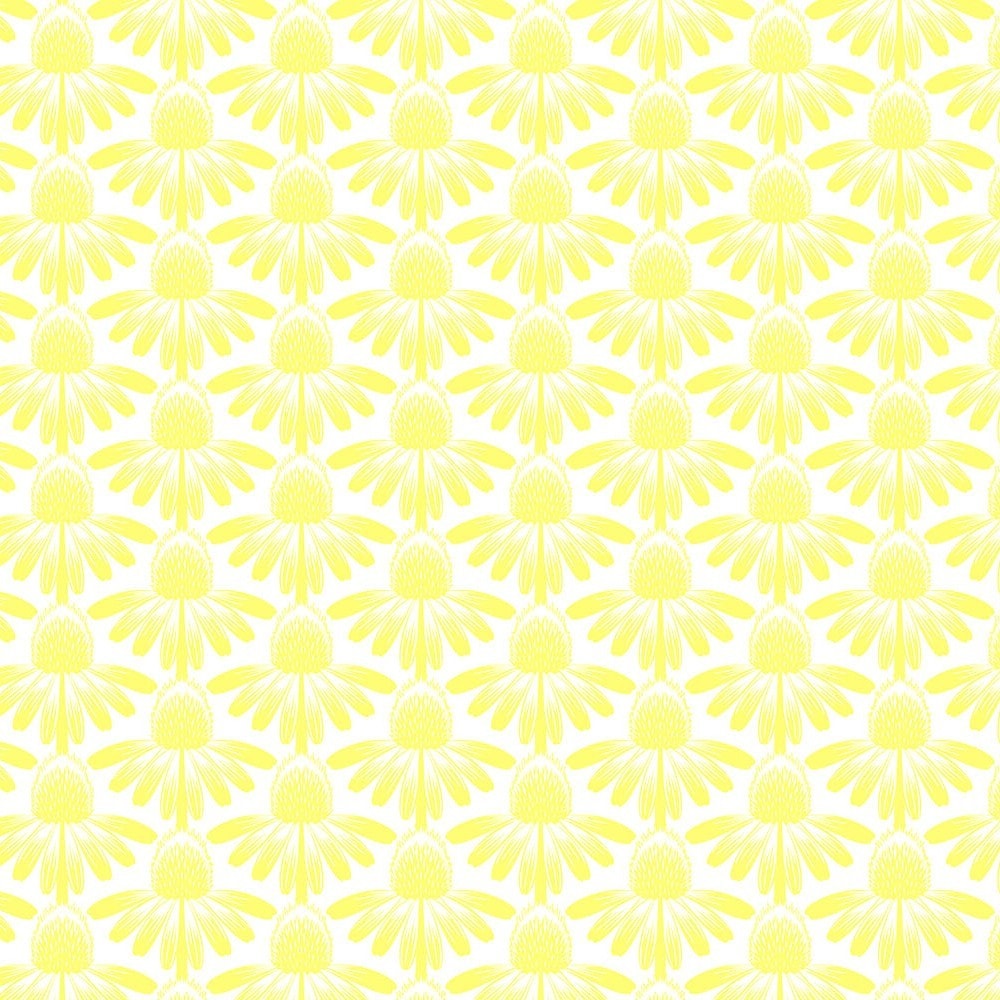 Coneflower - Sun