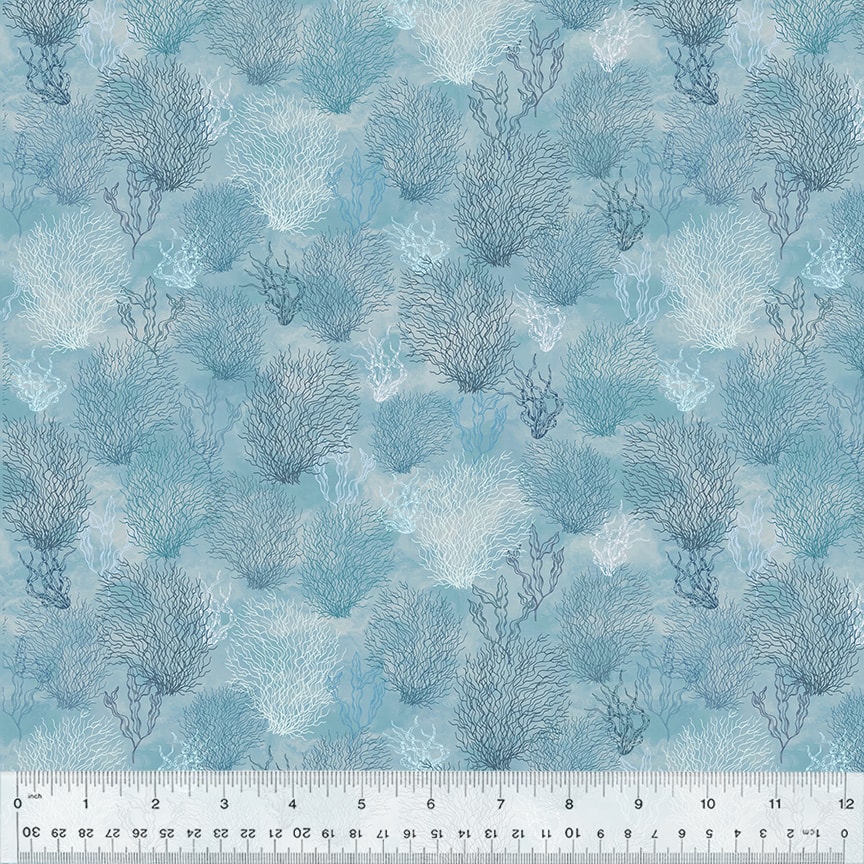 Coral Reef - Ocean