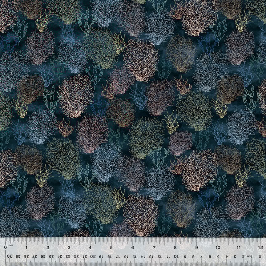 Coral Reef - Deep Sea