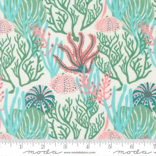 Coral Reef - Seaweed