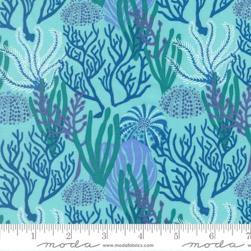 Coral Reef - Algae