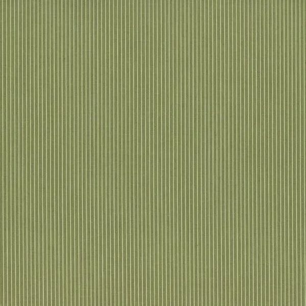 Creating Memories Woven Stripe - Green