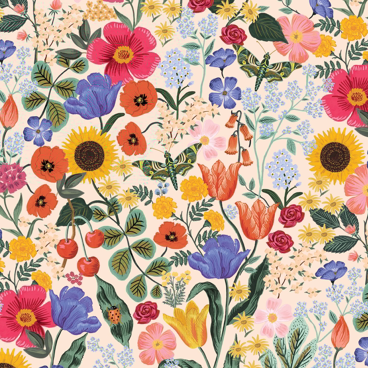 Curio Blossom - Blush Digital