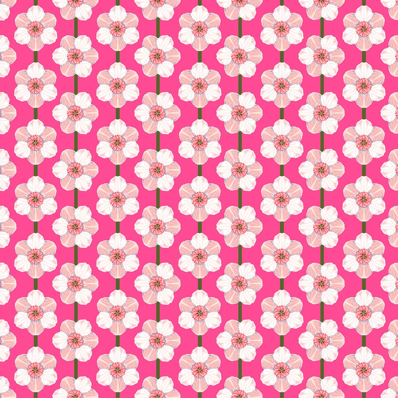 Daffodil - Bubblegum