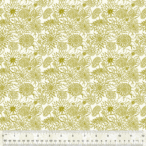 Dahlia Dream - Ivory
