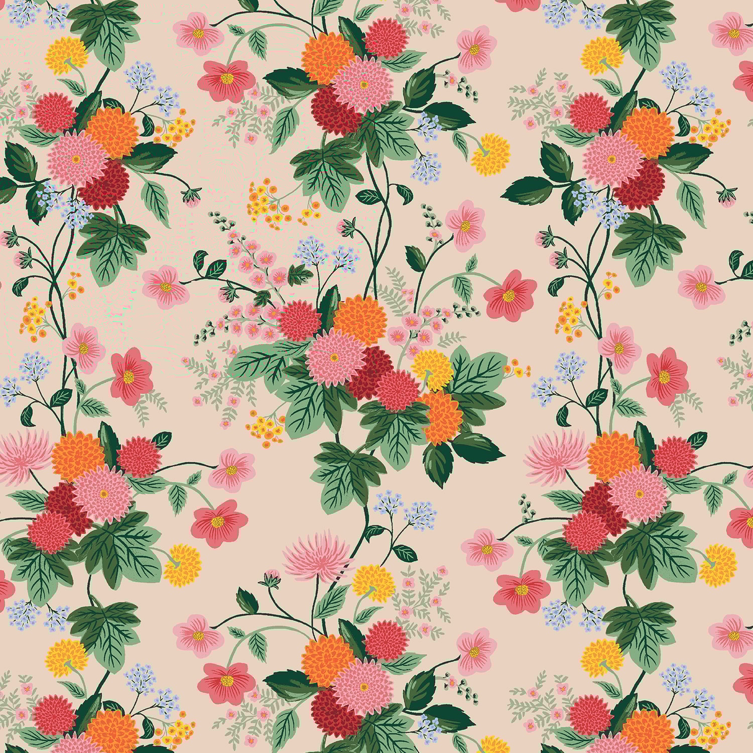 Dahlia - Blush