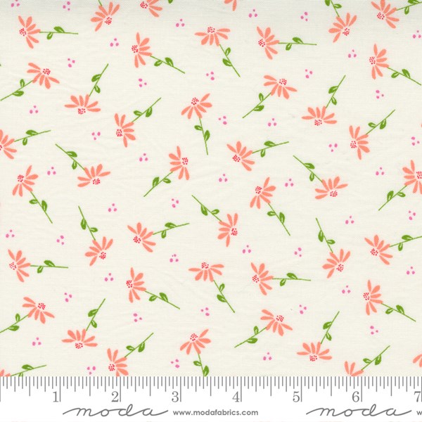 Dainty Floral Daisy - Ivory