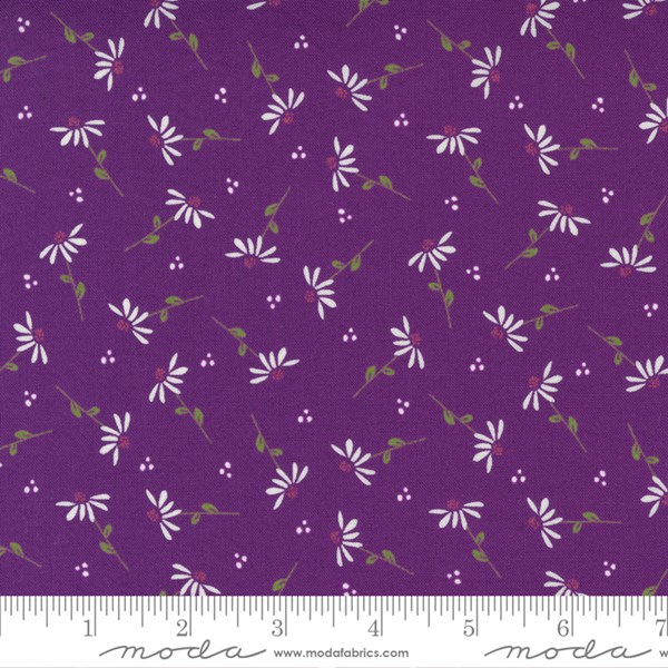 Dainty Floral Daisy - Iris